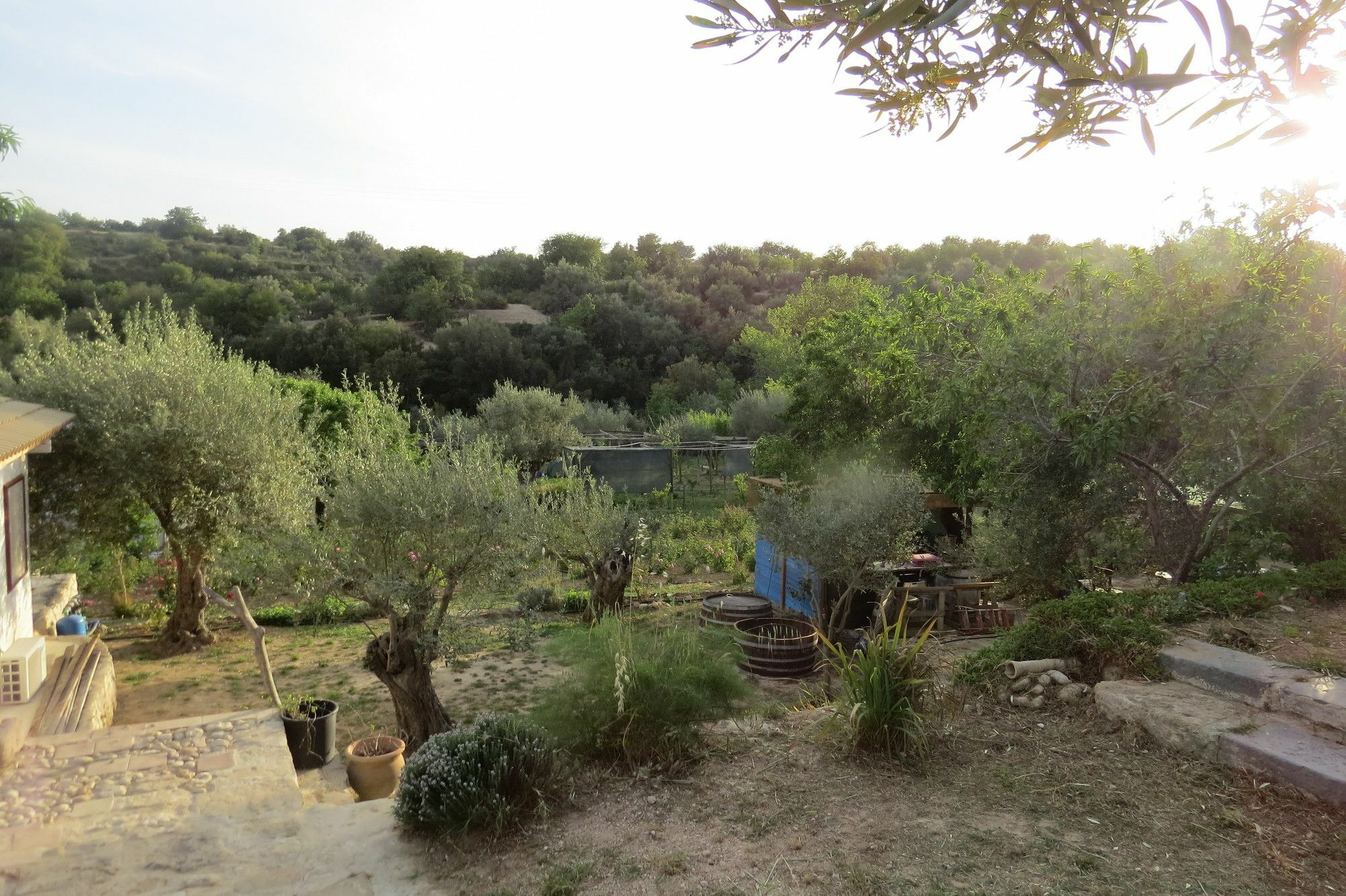 Camping Fiori Di 노토 외부 사진