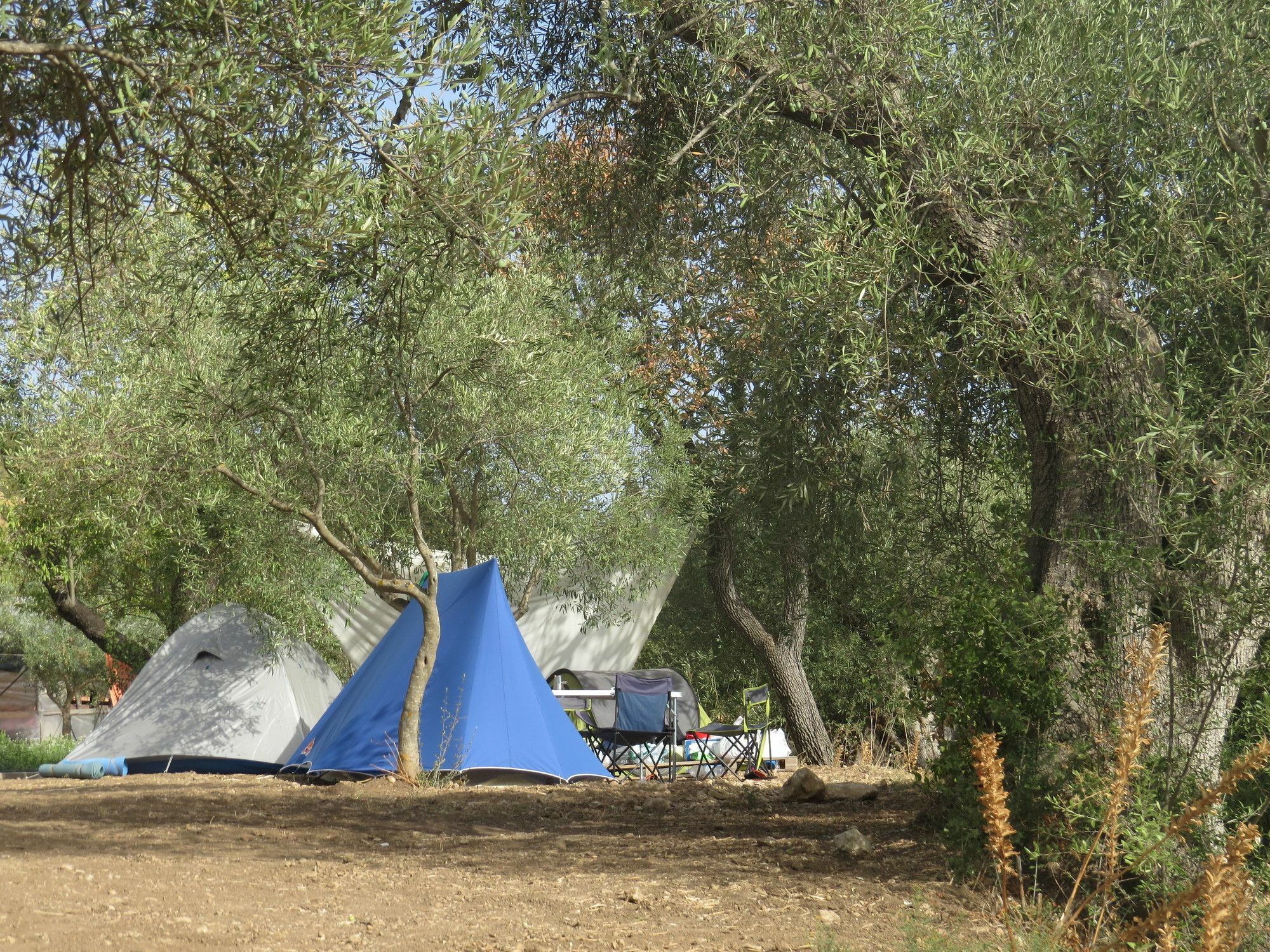 Camping Fiori Di 노토 외부 사진